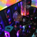 Thanks and See You at Our Next Bolly Bash! Thanks and See You at Our Next Bolly Bash!